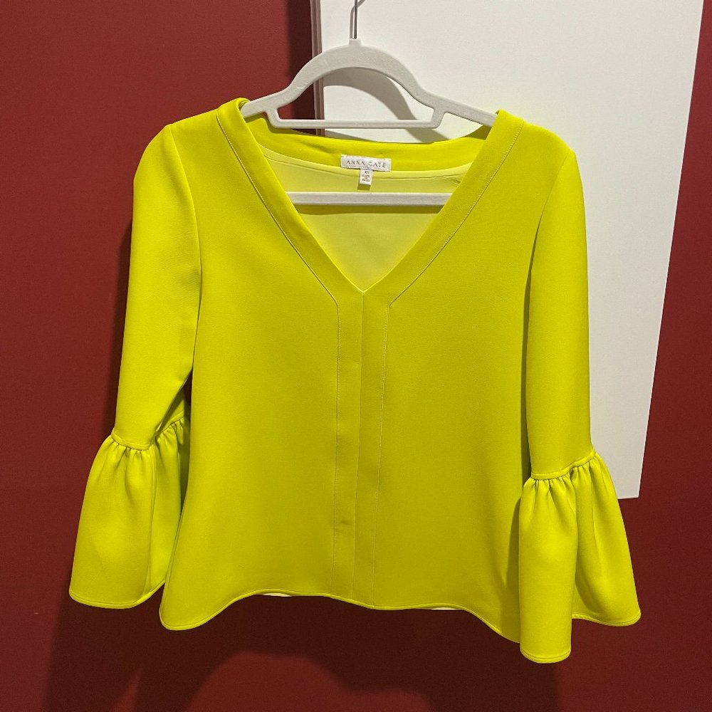 Anna Cate V Neck Blouse with Flared Sleeves Size XS (Excellent Condition)